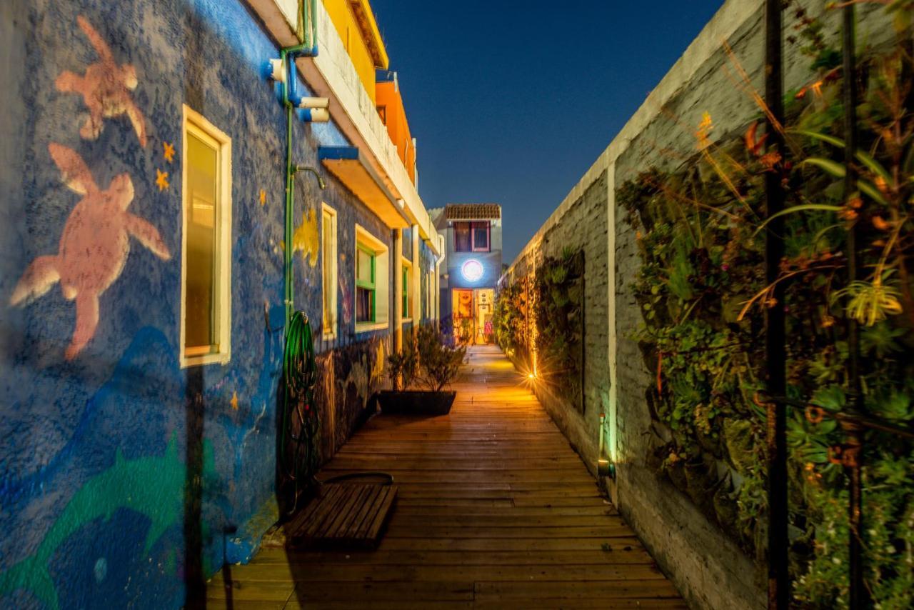 Del Barcito Hostel And Suites بونتا دل استي المظهر الخارجي الصورة